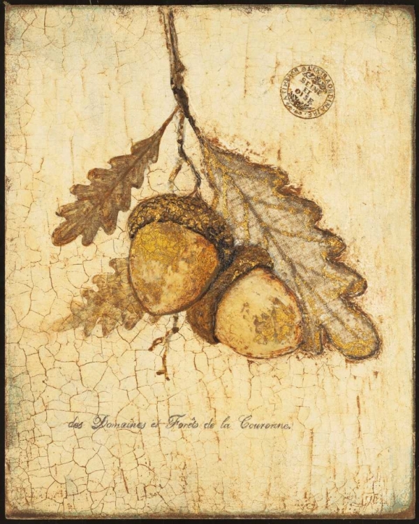 Picture of GILDED OAK