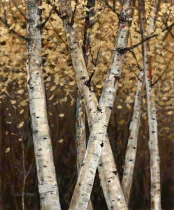 Picture of SHIMMERING BIRCHES 1