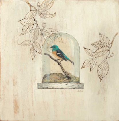 Picture of AVIARY DISPLAY