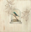 Picture of AVIARY DISPLAY