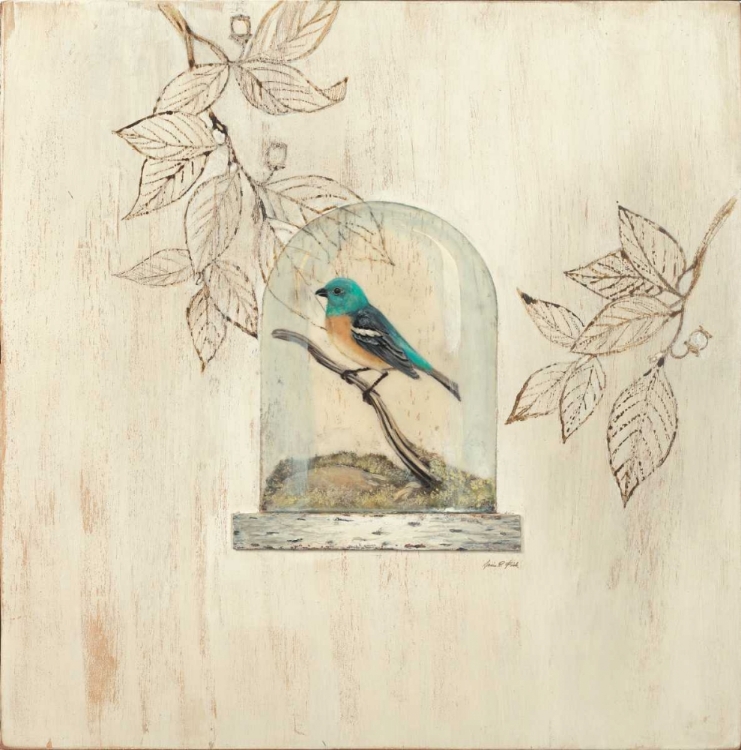 Picture of AVIARY DISPLAY
