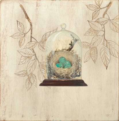 Picture of AVIARY MUSEUM 