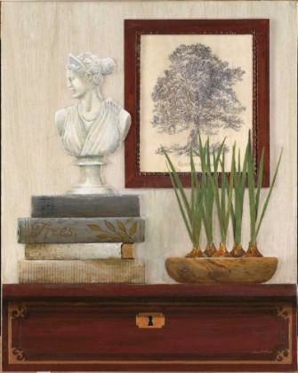 Picture of CLASSICAL STORY