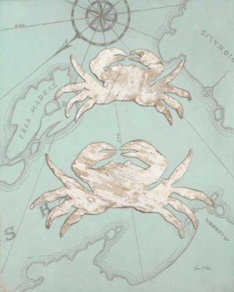 Picture of COASTAL CRAB 