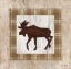 Picture of WANDERING MOOSE