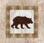 Picture of SEARCHING BEAR
