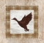Picture of FLYING DUCK
