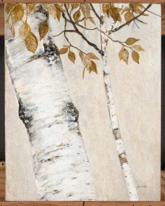 Picture of RUSTIC BIRCH