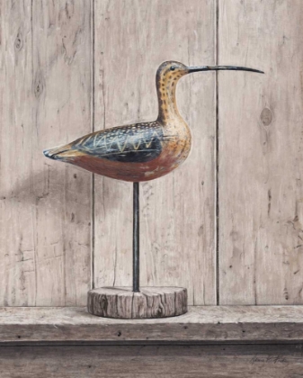 Picture of CURLEW