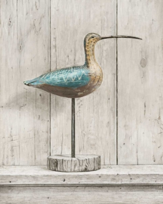 Picture of CURLEW