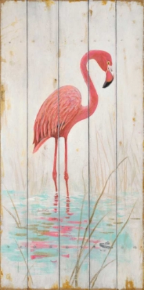 Picture of FLAMINGO