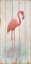 Picture of FLAMINGO