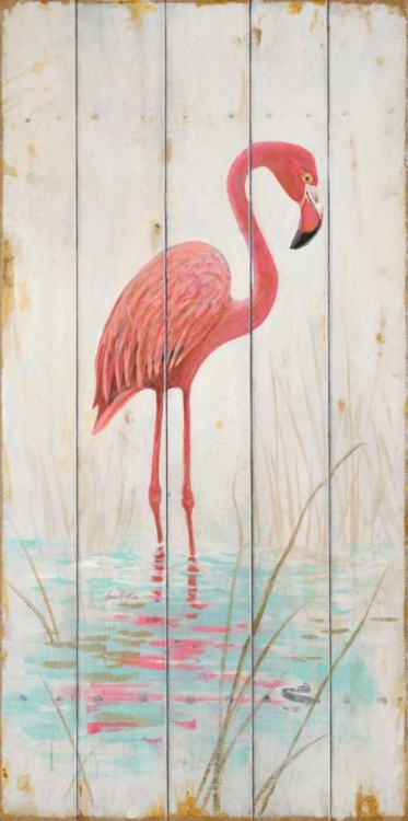 Picture of FLAMINGO