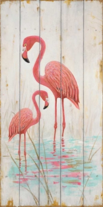 Picture of FLAMINGO DUO