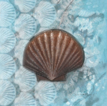 Picture of SCALLOP FOSSIL