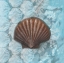 Picture of SCALLOP FOSSIL