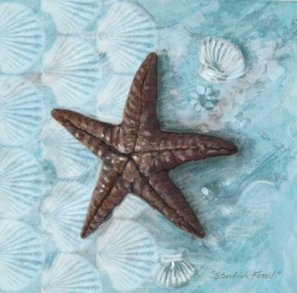 Picture of STARFISH FOSSIL