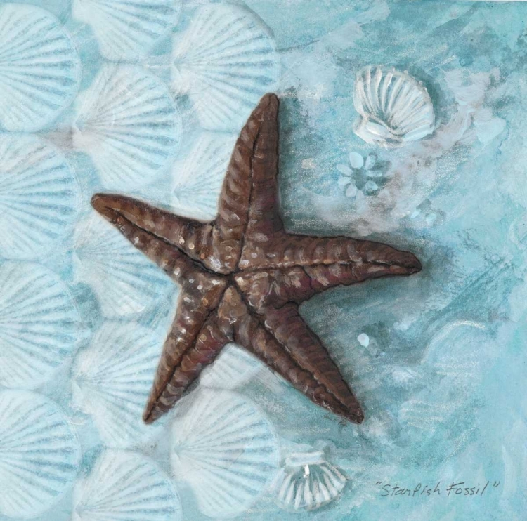 Picture of STARFISH FOSSIL
