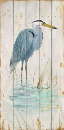 Picture of BLUE HERON
