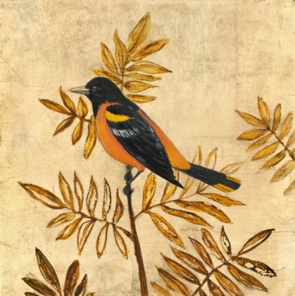 Picture of GOLDEN ORIOLE