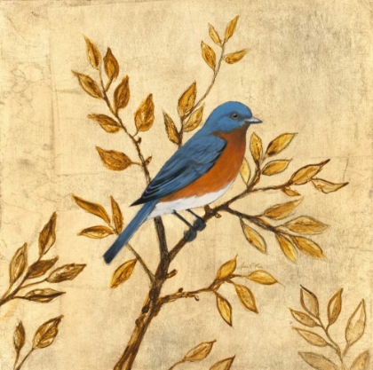 Picture of GOLDEN BLUEBIRD