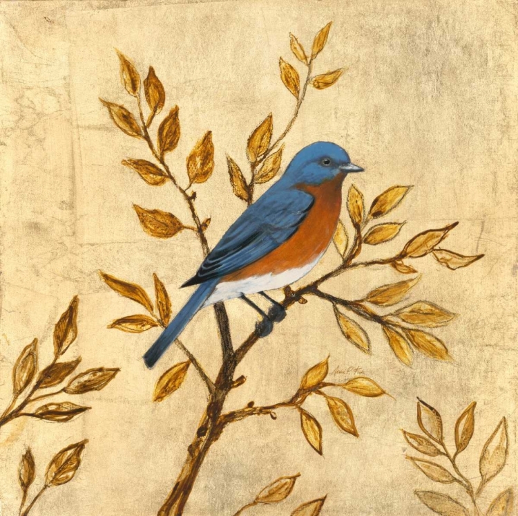 Picture of GOLDEN BLUEBIRD