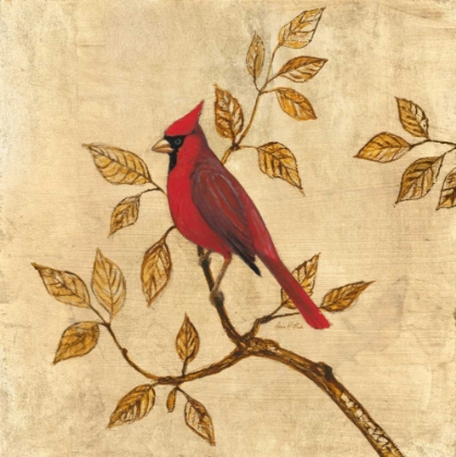 Picture of GOLDEN CARDINAL