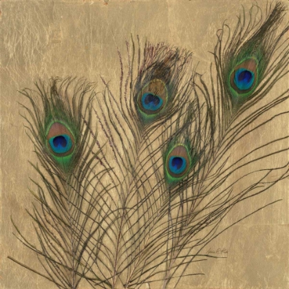 Picture of GILDED PEACOCK FEATHERS