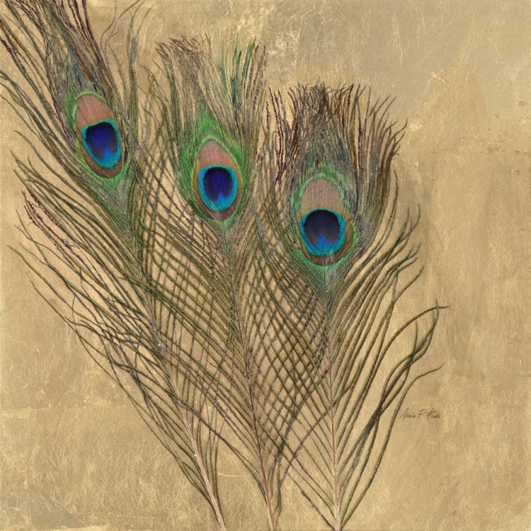 Picture of GOLDEN PEACOCK FEATHERS