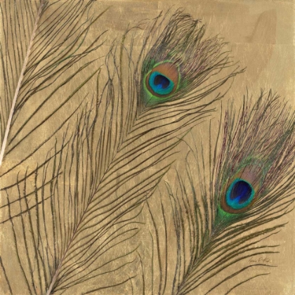 Picture of LEAFED PEACOCK FEATHERS 