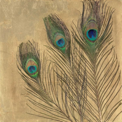 Picture of METALLIC PEACOCK FEATHERS
