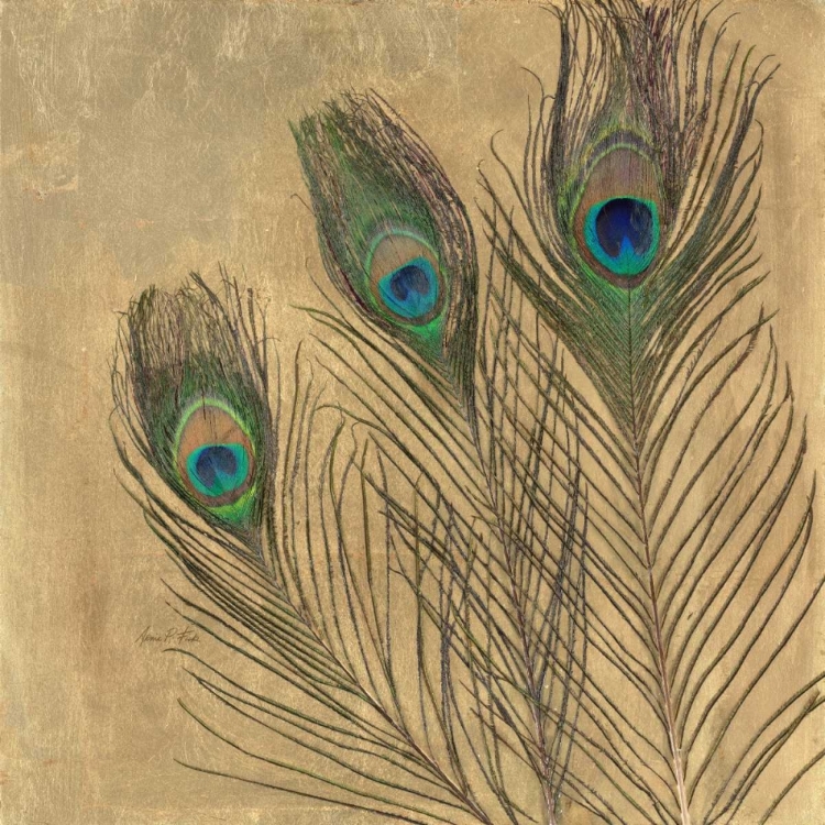 Picture of METALLIC PEACOCK FEATHERS