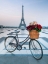 Picture of TEDDY BEARS AND BUNCH OF RED ROSES ON BICYCLE WITH EIFFEL TOWER IN THE BACKGROUND