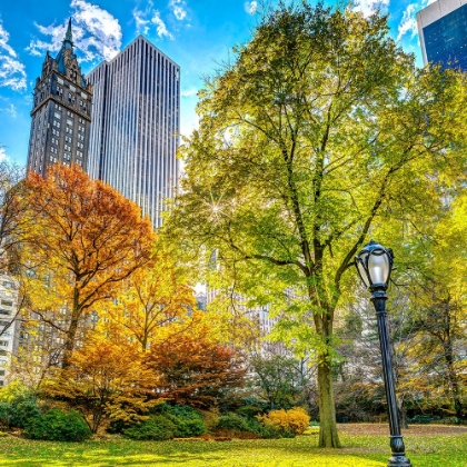 Picture of CENTRAL PARK IN AUTUMN, MANHATTAN, NEW YORK