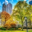 Picture of CENTRAL PARK IN AUTUMN, MANHATTAN, NEW YORK