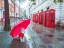 Picture of DOG WITH UMBRELLA ON LONDON CITY STREET