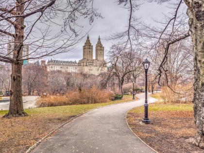 Picture of PATHWAY THROUGH CENTRAL PARK, NEW YORK