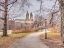 Picture of PATHWAY THROUGH CENTRAL PARK, NEW YORK