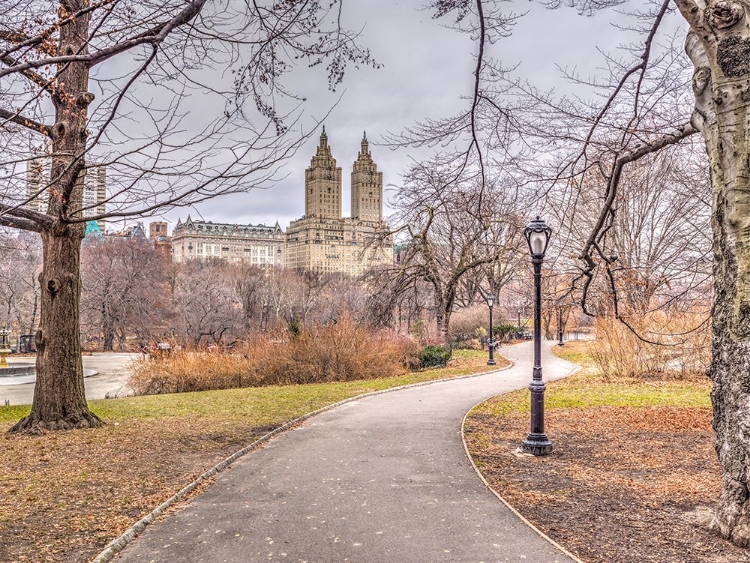 Picture of PATHWAY THROUGH CENTRAL PARK, NEW YORK