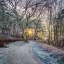 Picture of CANAL IN COUNTRYSIDE WITH TREES AND PATHWAY
