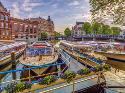 Picture of BOATS MOORED IN THE CANAL THROUGH AMSTERDAM CITY