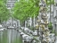 Picture of LOVE LOCKS BRIDGE, AMSTERDAM