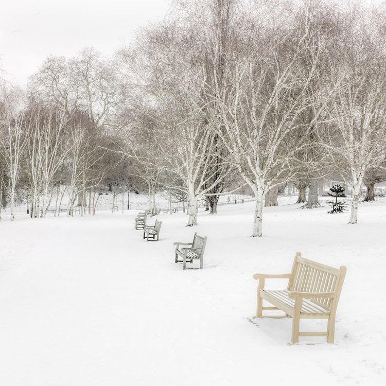 Picture of HYDE PARK DURING WINTER, LONDON, UK