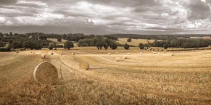 Picture of HAYSTACK ON FIELDS