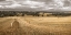 Picture of HAYSTACK ON FIELDS