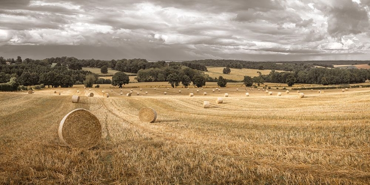 Picture of HAYSTACK ON FIELDS