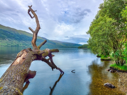 Picture of SCOTTISH LOCH