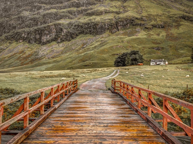 Picture of WOODEN BRIDGE OVER WATER STREAM AT GLEN COE VALLEY, SCOTLAND