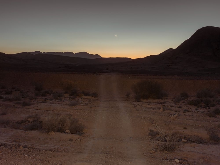 Picture of ROAD THROUGH DESERT AT NIGHT