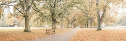 Picture of PATHWAY THROUGH AUTUMN PARK
